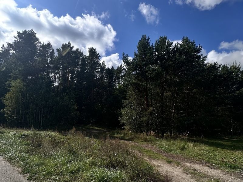 Zdjęcie ogłoszenia -  