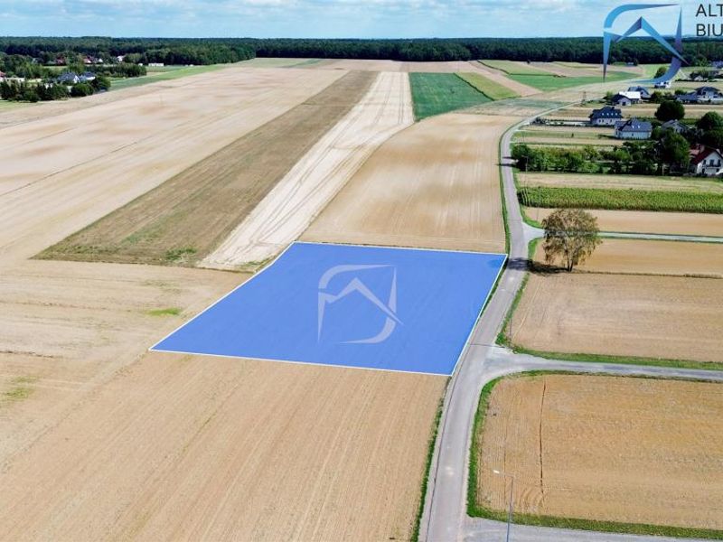 Zdjęcie ogłoszenia -  