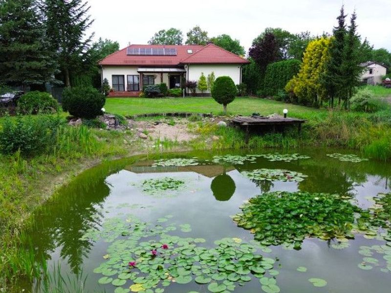 Zdjęcie ogłoszenia -  