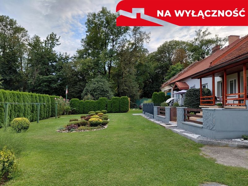 Zdjęcie ogłoszenia -  