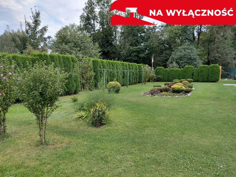 Zdjęcie ogłoszenia -  