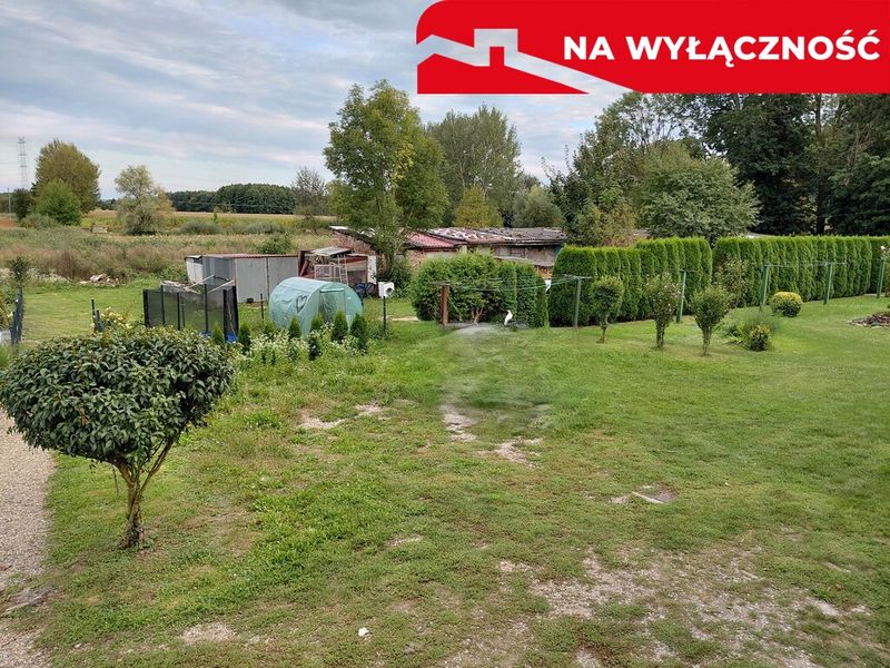 Zdjęcie ogłoszenia -  
