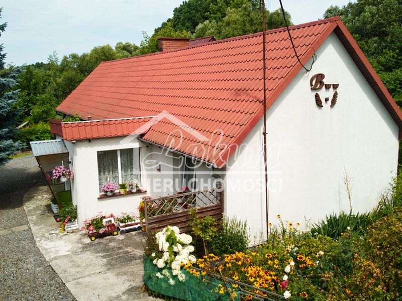 Zdjęcie ogłoszenia -  