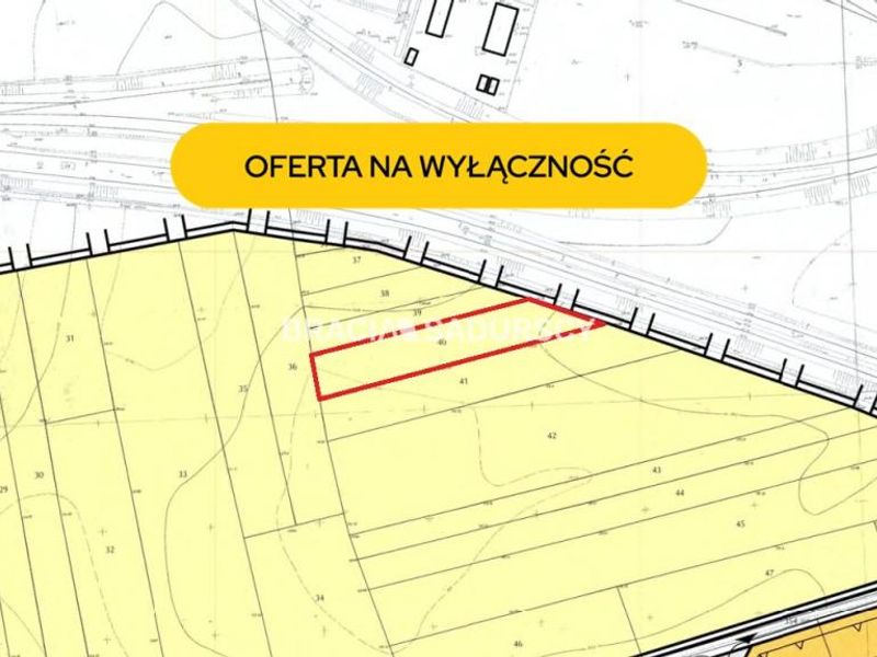Zdjęcie ogłoszenia -  