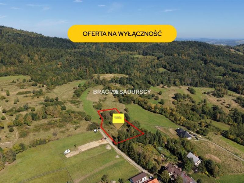 Zdjęcie ogłoszenia -  
