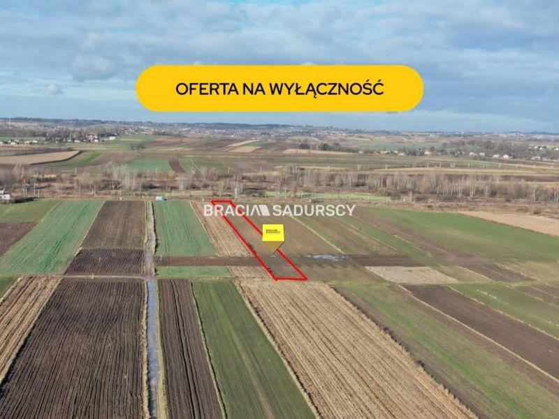 Zdjęcie ogłoszenia -  