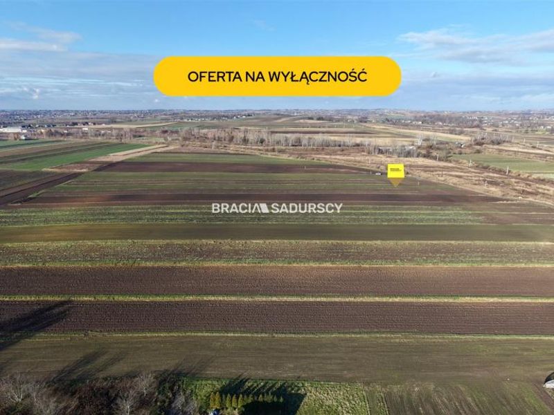 Zdjęcie ogłoszenia -  