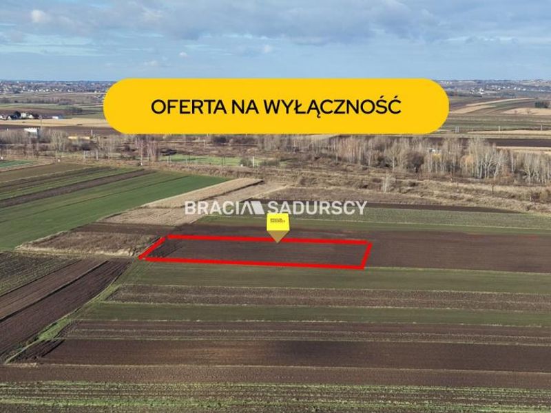 Zdjęcie ogłoszenia -  