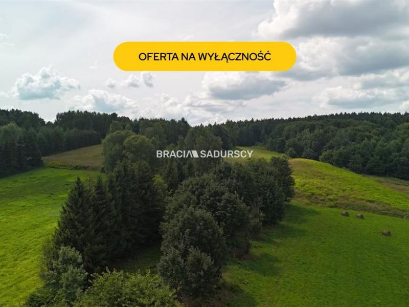Zdjęcie ogłoszenia -  