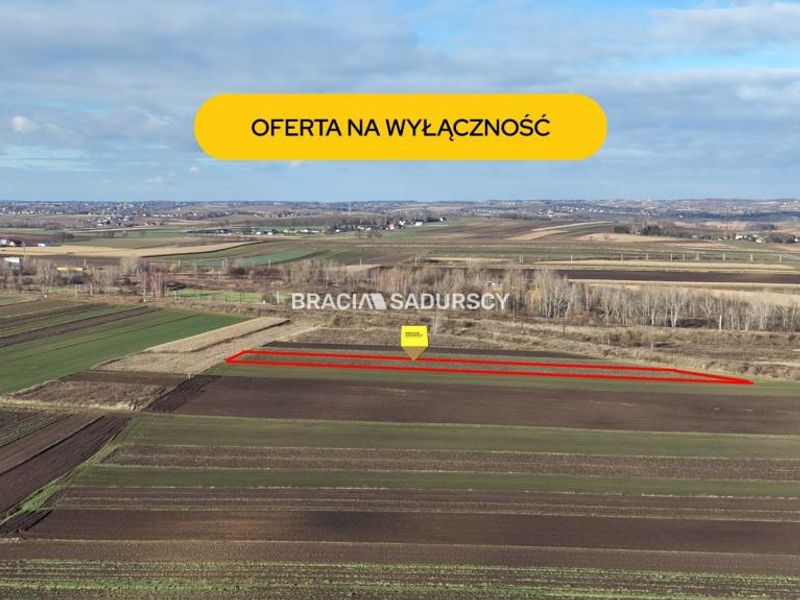 Zdjęcie ogłoszenia -  