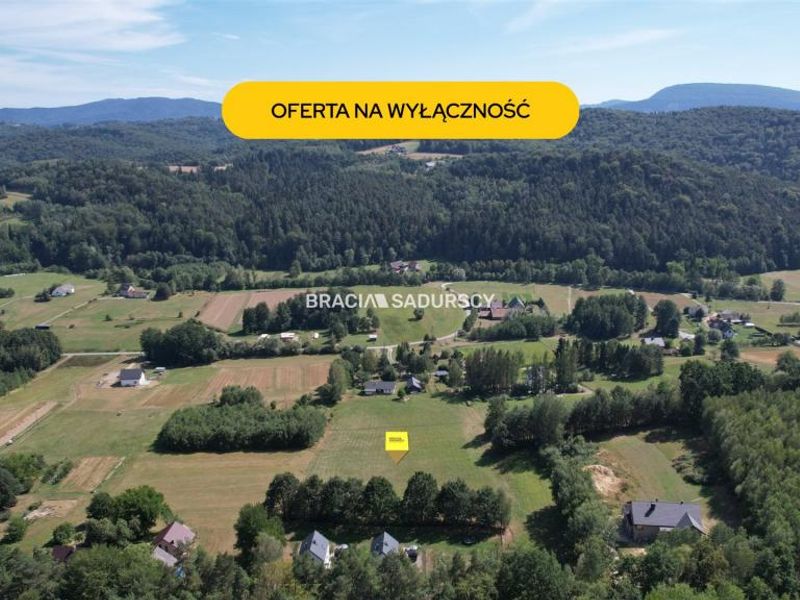 Zdjęcie ogłoszenia -  