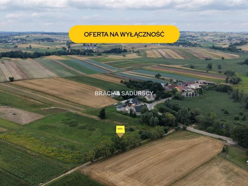 Zdjęcie ogłoszenia -  