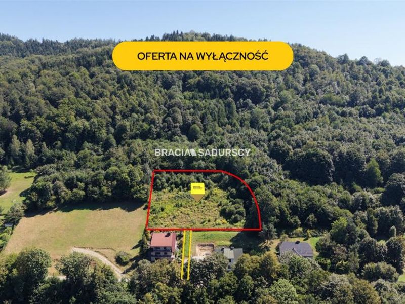 Zdjęcie ogłoszenia -  