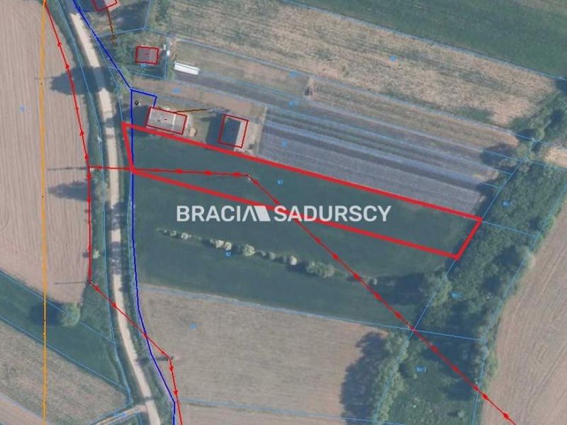 Zdjęcie ogłoszenia -  