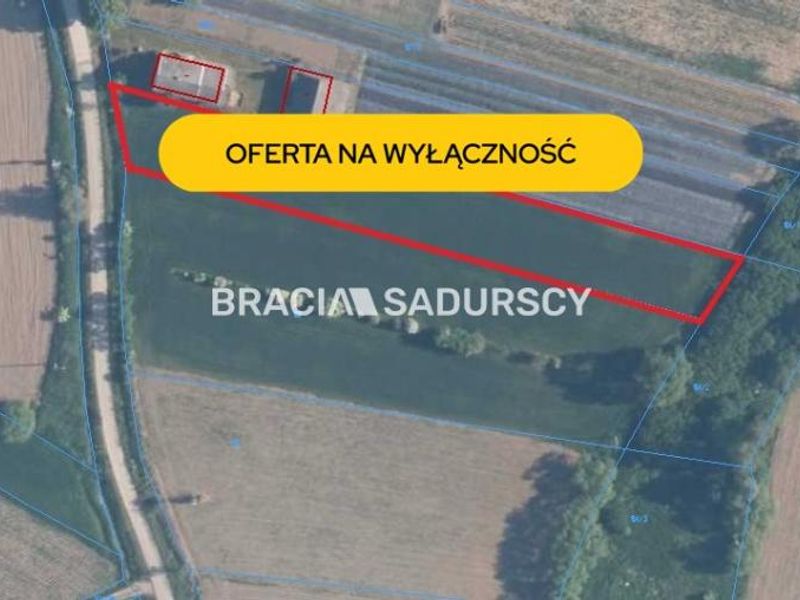 Zdjęcie ogłoszenia -  