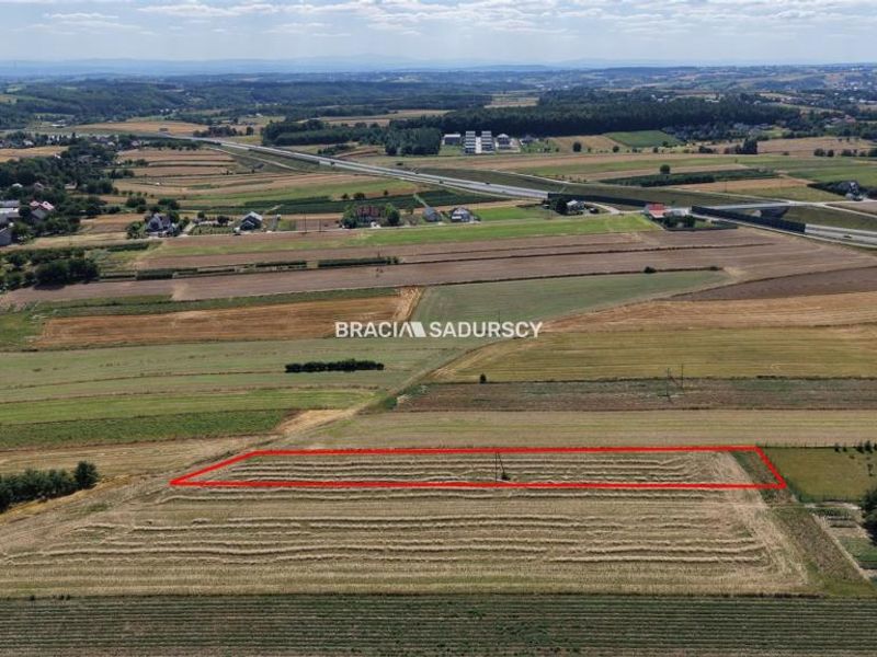 Zdjęcie ogłoszenia -  