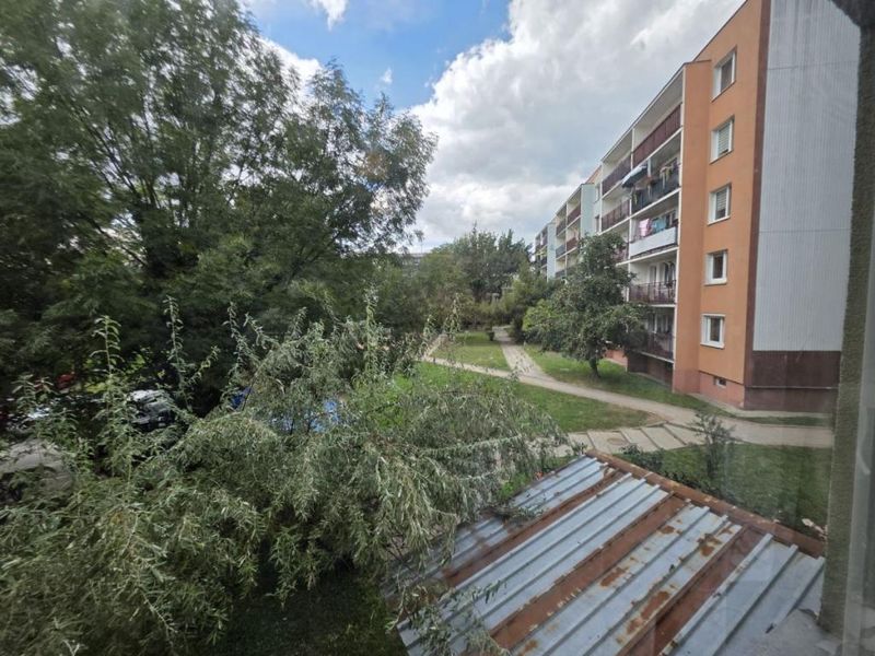 Zdjęcie ogłoszenia -  
