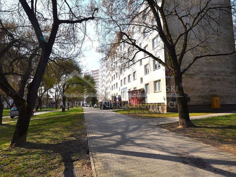 Zdjęcie ogłoszenia -  