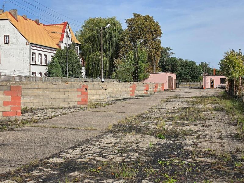 Zdjęcie ogłoszenia -  