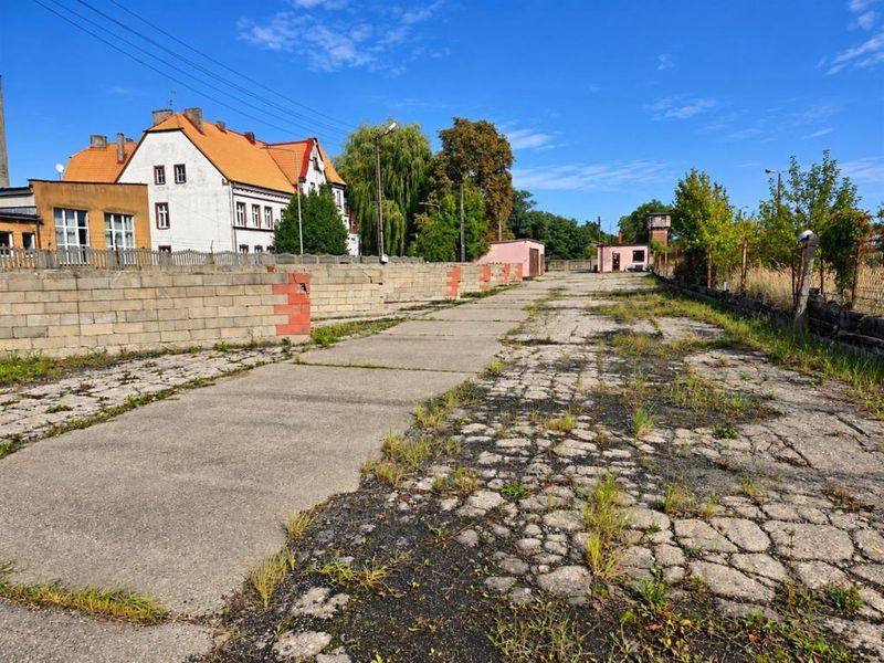 Zdjęcie ogłoszenia -  