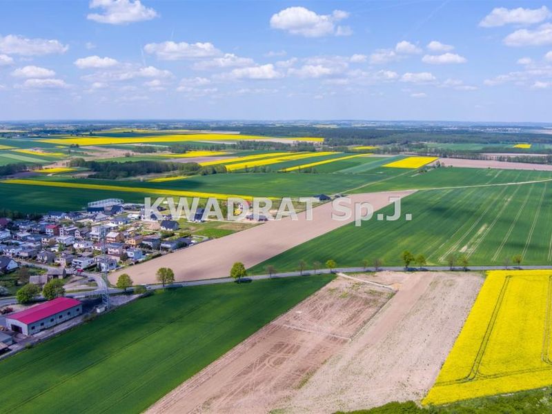 Zdjęcie ogłoszenia -  