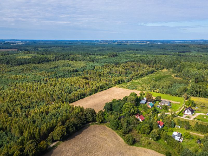 Zdjęcie ogłoszenia -  