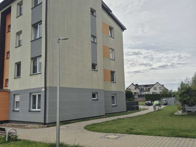 Zdjęcie ogłoszenia -  9
