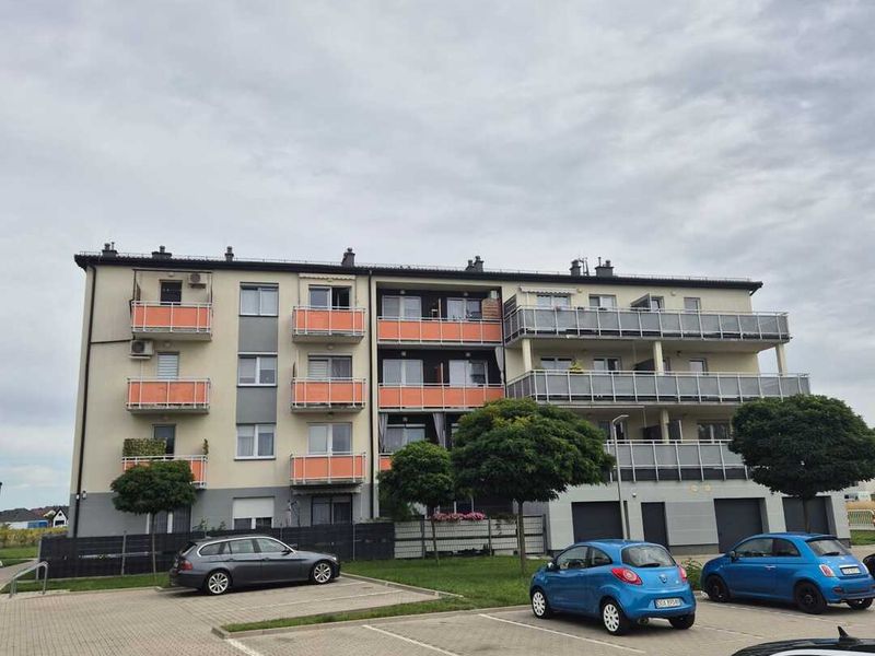 Zdjęcie ogłoszenia -  9
