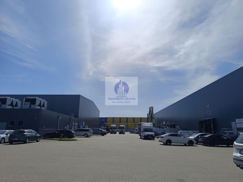 Zdjęcie ogłoszenia -  