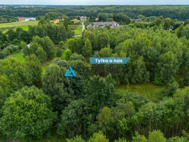 Własny kawałek Kaszub - 4,55 ha z lasem! - ID: 15967137