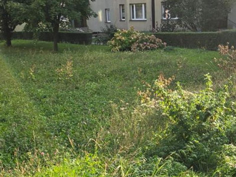 Zdjęcie ogłoszenia -  