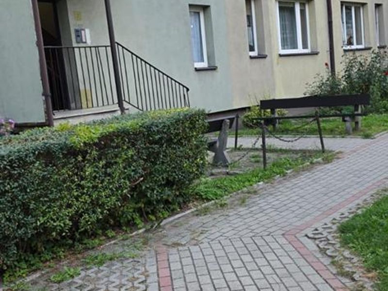 Zdjęcie ogłoszenia -  
