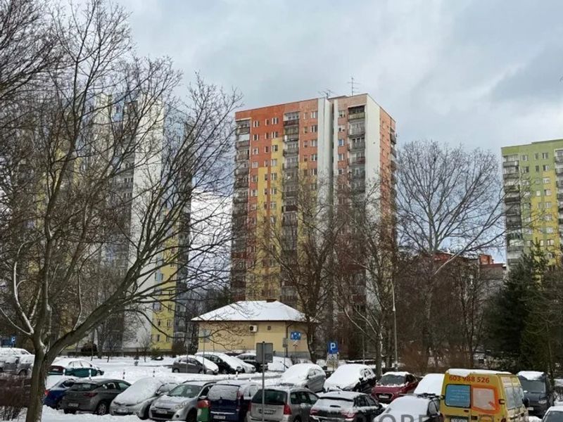 Zdjęcie ogłoszenia -  