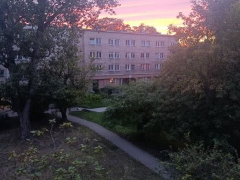 Zdjęcie ogłoszenia -  