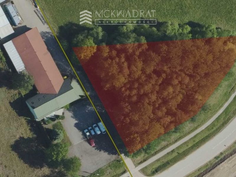 Zdjęcie ogłoszenia -  