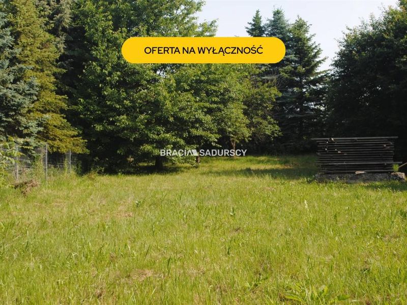 Zdjęcie ogłoszenia -  