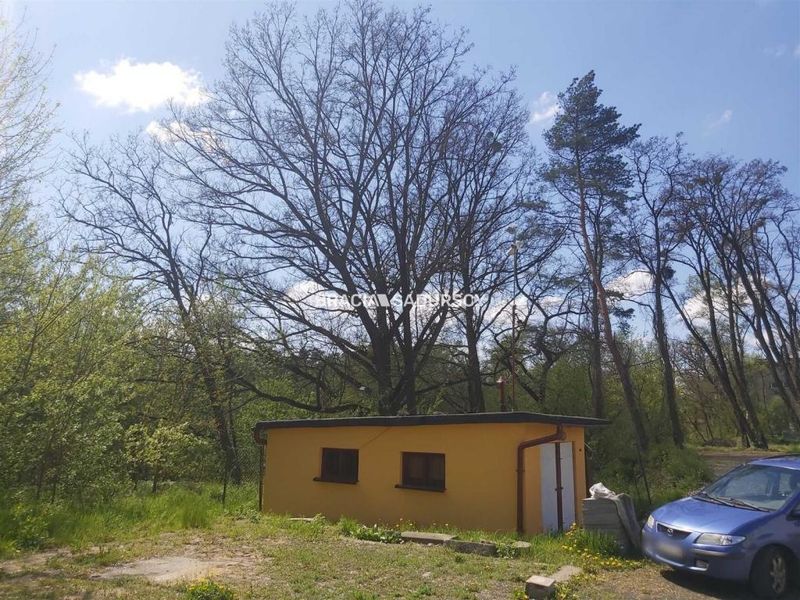 Zdjęcie ogłoszenia -  