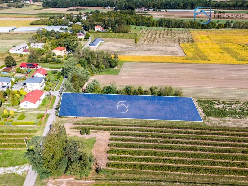 Zdjęcie ogłoszenia -  