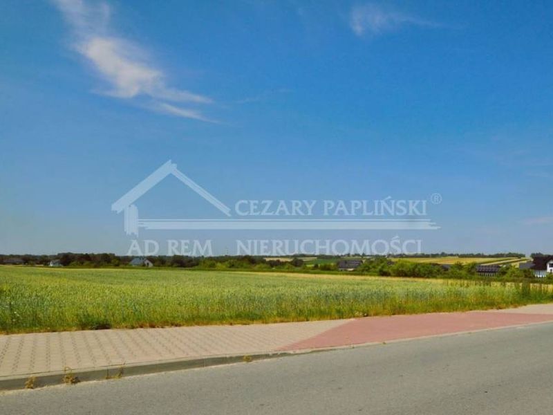Zdjęcie ogłoszenia -  
