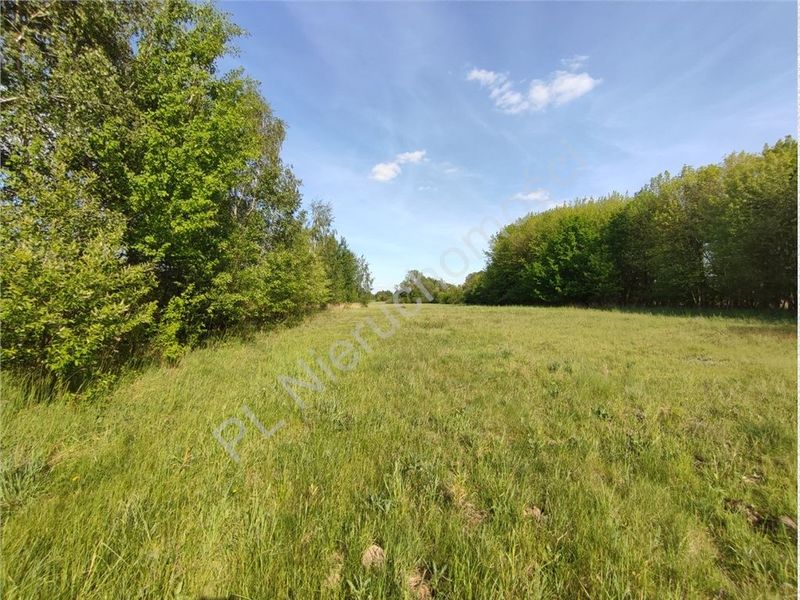 Zdjęcie ogłoszenia -  