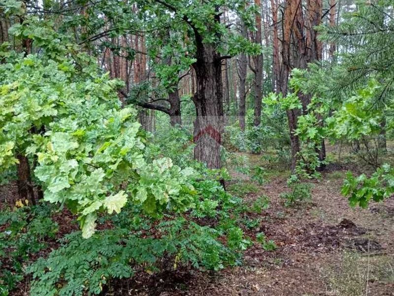 Działka rolna 1,05 ha, Otwock, Armii Krajowej