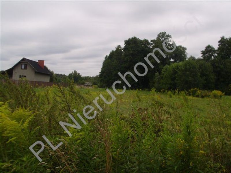 Zdjęcie ogłoszenia -  