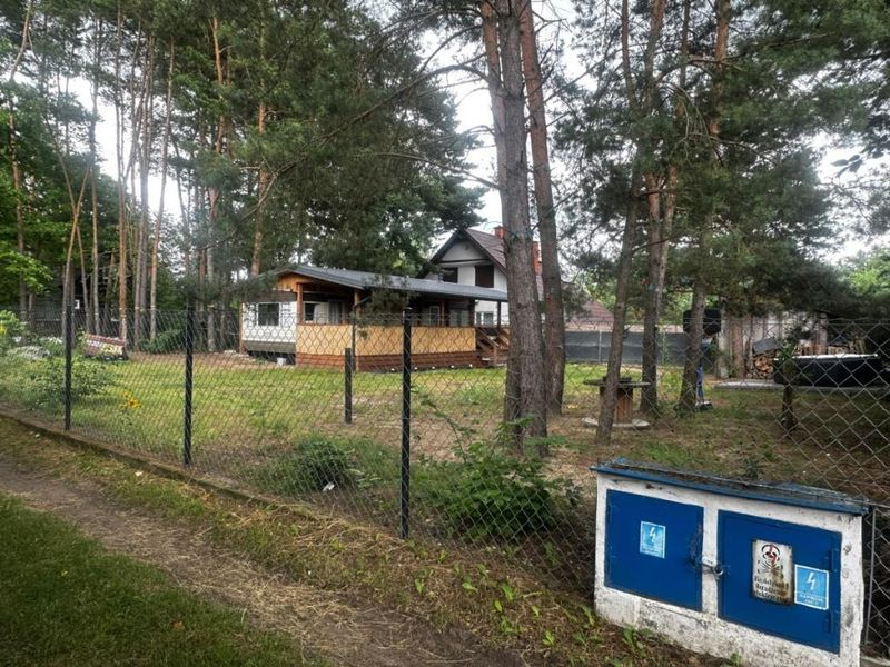 Zdjęcie ogłoszenia -  