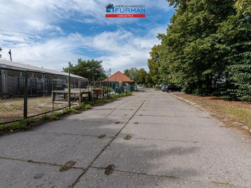 Zdjęcie ogłoszenia -  