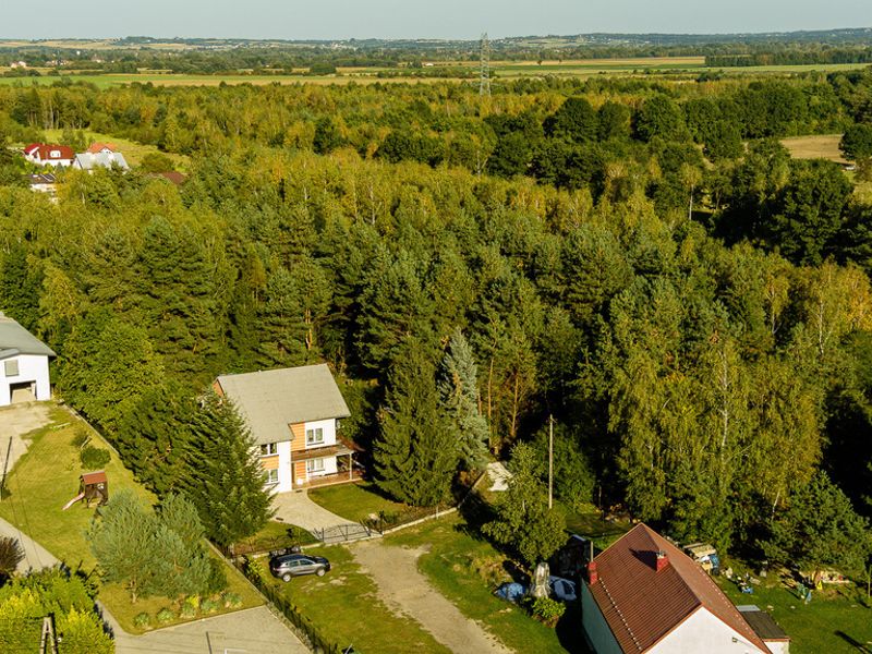 Zdjęcie ogłoszenia -  