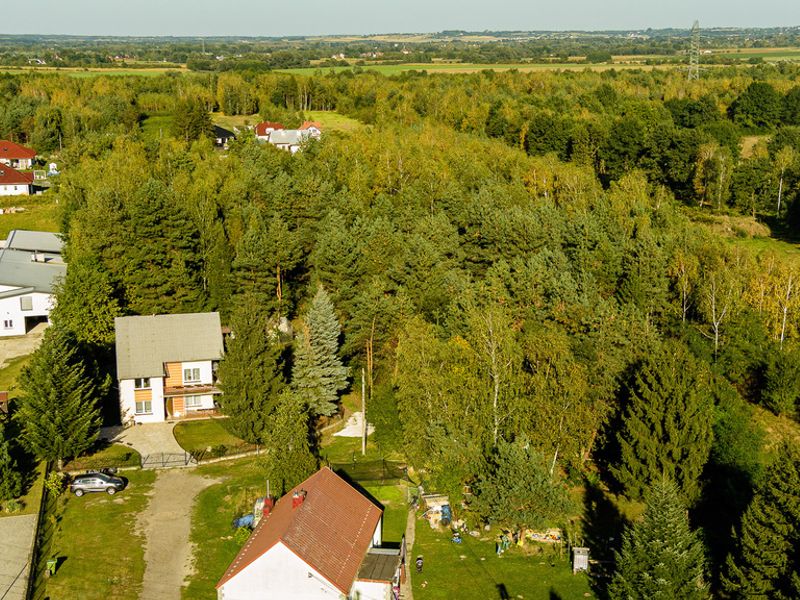 Zdjęcie ogłoszenia -  