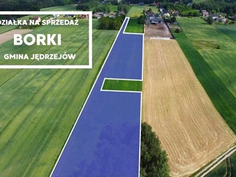 Zdjęcie ogłoszenia -  
