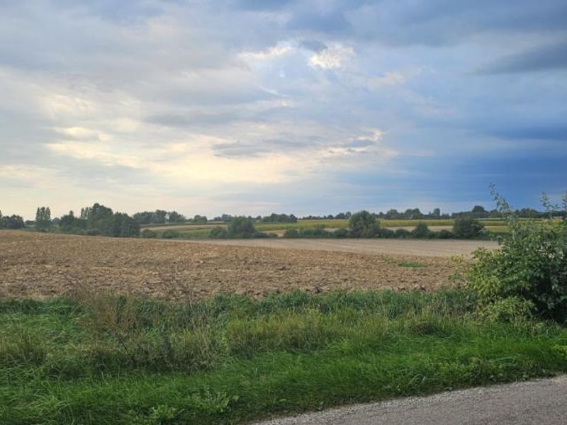 Zdjęcie ogłoszenia -  