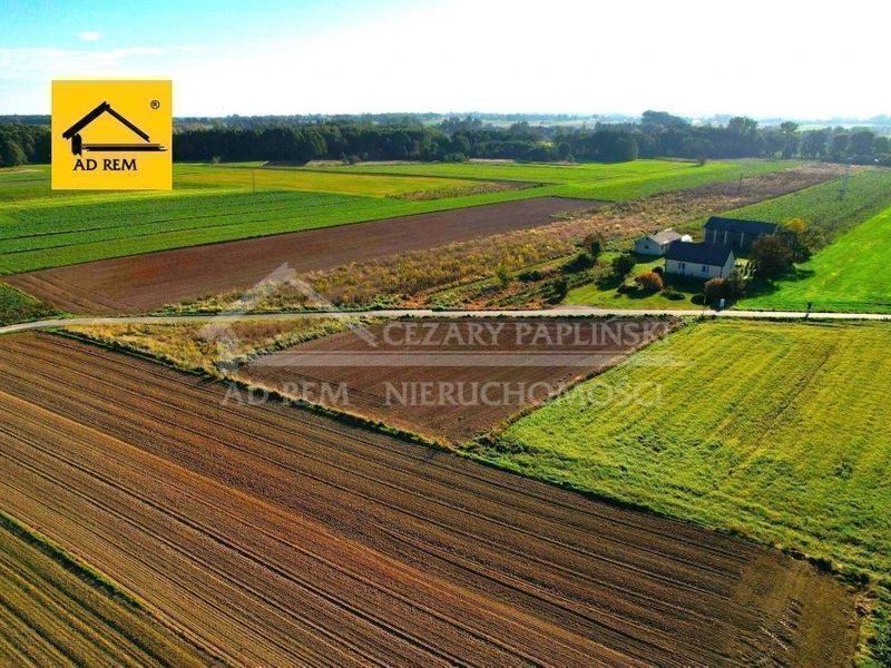 Zdjęcie ogłoszenia -  