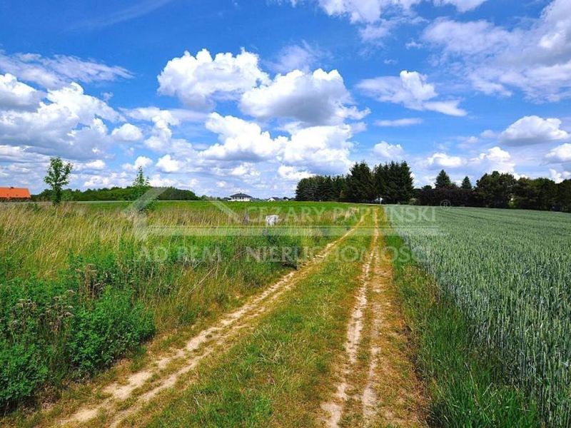 Zdjęcie ogłoszenia -  